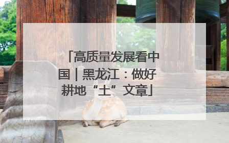高质量发展看中国｜黑龙江：做好耕地“土”文章