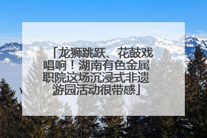 龙狮跳跃、花鼓戏唱响！湖南有色金属职院这场沉浸式非遗游园活动很带感