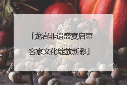 龙岩非遗盛宴启幕 客家文化绽放新彩