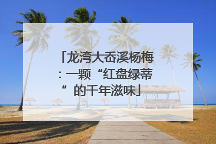 龙湾大岙溪杨梅：一颗“红盘绿蒂”的千年滋味