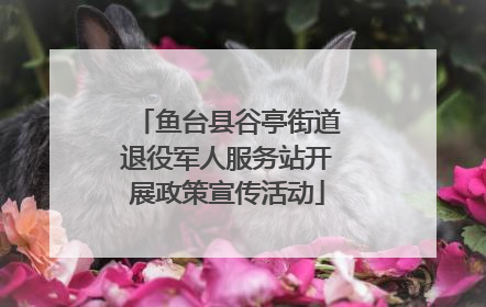 鱼台县谷亭街道退役军人服务站开展政策宣传活动