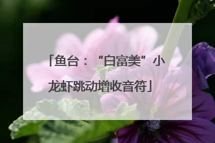 鱼台：“白富美”小龙虾跳动增收音符