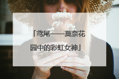 鸢尾——莫奈花园中的彩虹女神