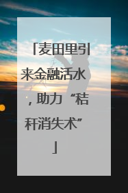 麦田里引来金融活水，助力“秸秆消失术”
