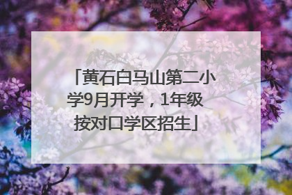 黄石白马山第二小学9月开学，1年级按对口学区招生