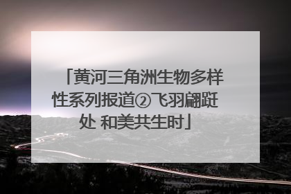 黄河三角洲生物多样性系列报道②飞羽翩跹处 和美共生时