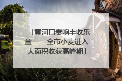 黄河口奏响丰收乐章——全市小麦进入大面积收获高峰期