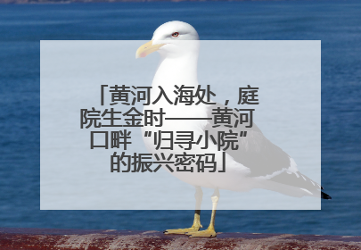 黄河入海处，庭院生金时——黄河口畔“归寻小院”的振兴密码