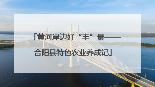 黄河岸边好“丰”景——合阳县特色农业养成记