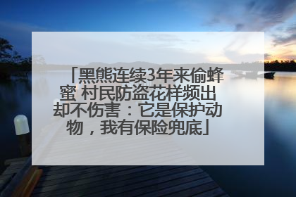 黑熊连续3年来偷蜂蜜 村民防盗花样频出却不伤害：它是保护动物，我有保险兜底