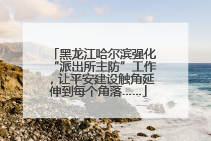 黑龙江哈尔滨强化“派出所主防”工作，让平安建设触角延伸到每个角落……