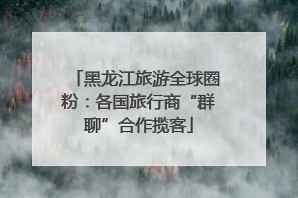 黑龙江旅游全球圈粉：各国旅行商“群聊”合作揽客