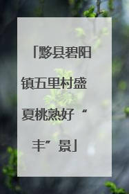 黟县碧阳镇五里村盛夏桃熟好“丰”景