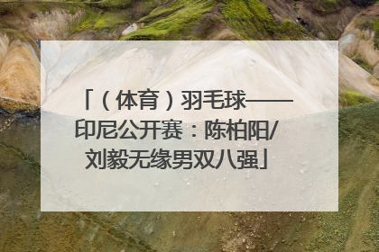（体育）羽毛球——印尼公开赛：陈柏阳/刘毅无缘男双八强