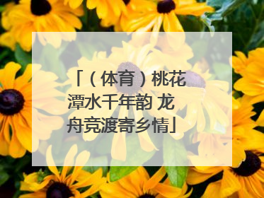 （体育）桃花潭水千年韵 龙舟竞渡寄乡情