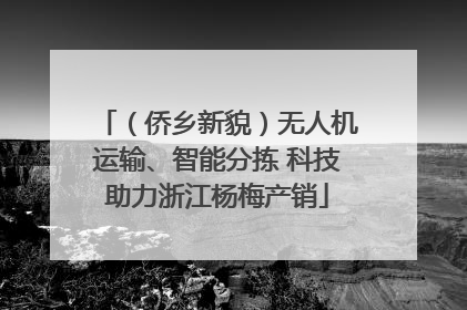 （侨乡新貌）无人机运输、智能分拣 科技助力浙江杨梅产销