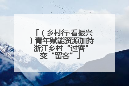 （乡村行·看振兴）青年赋能资源加持 浙江乡村“过客”变“留客”