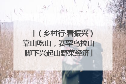 （乡村行·看振兴）靠山吃山，赛罕乌拉山脚下兴起山野菜经济