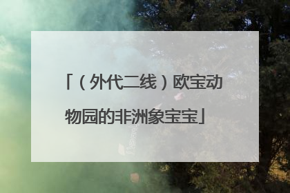 （外代二线）欧宝动物园的非洲象宝宝