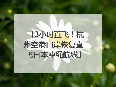 3小时直飞！杭州空港口岸恢复直飞日本冲绳航线