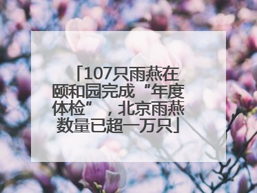 107只雨燕在颐和园完成“年度体检”，北京雨燕数量已超一万只