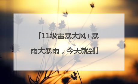 11级雷暴大风+暴雨大暴雨，今天就到