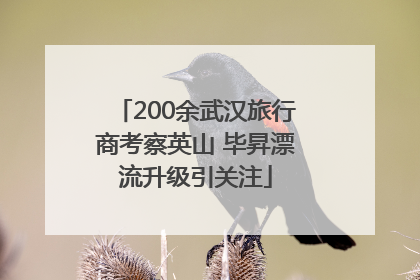 200余武汉旅行商考察英山 毕昇漂流升级引关注