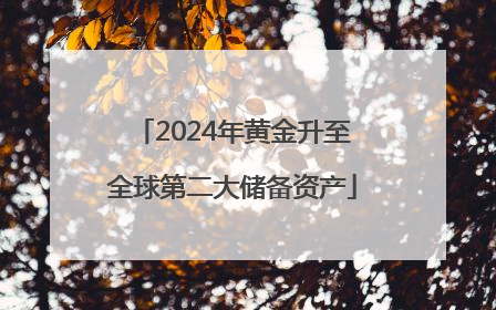 2024年黄金升至全球第二大储备资产