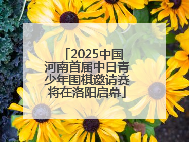 2025中国河南首届中日青少年围棋邀请赛将在洛阳启幕