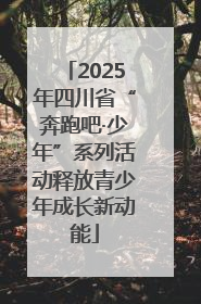 2025年四川省“奔跑吧·少年”系列活动释放青少年成长新动能