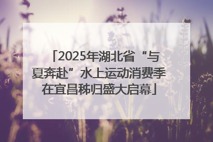 2025年湖北省“与夏奔赴”水上运动消费季在宜昌秭归盛大启幕