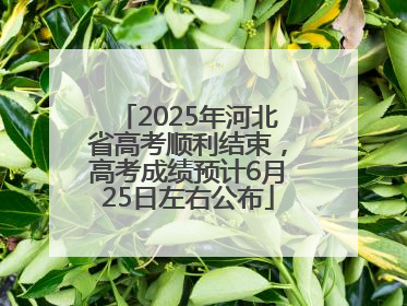 2025年河北省高考顺利结束，高考成绩预计6月25日左右公布