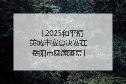 2025和平精英城市赛总决赛在岳阳市圆满落幕