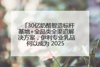 30亿奶酪智造标杆基地+全品类全渠道解决方案，伊利专业乳品何以成为 2025 焙烤展 MV