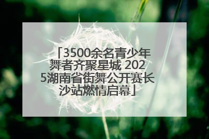 3500余名青少年舞者齐聚星城 2025湖南省街舞公开赛长沙站燃情启幕