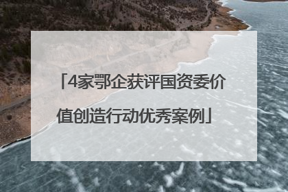 4家鄂企获评国资委价值创造行动优秀案例
