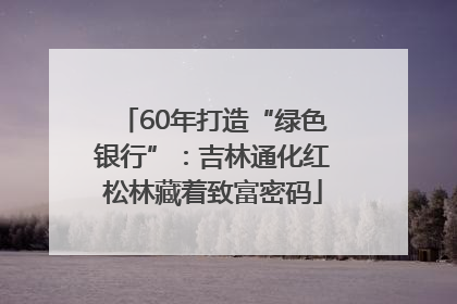 60年打造“绿色银行”：吉林通化红松林藏着致富密码