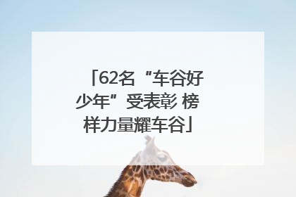 62名“车谷好少年”受表彰 榜样力量耀车谷