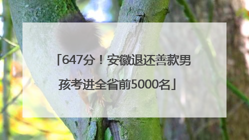 647分！安徽退还善款男孩考进全省前5000名