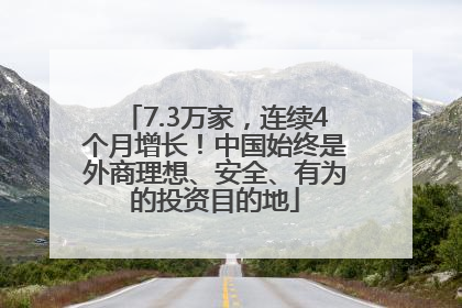 7.3万家，连续4个月增长！中国始终是外商理想、安全、有为的投资目的地