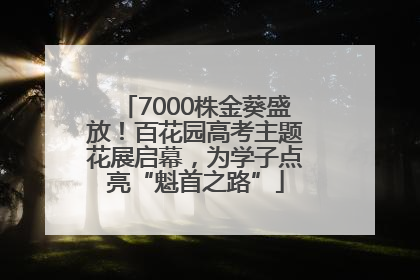 7000株金葵盛放！百花园高考主题花展启幕，为学子点亮“魁首之路”