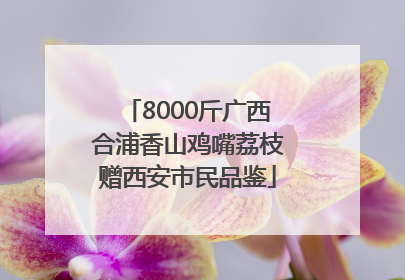 8000斤广西合浦香山鸡嘴荔枝赠西安市民品鉴
