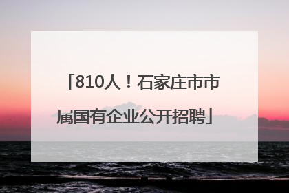 810人！石家庄市市属国有企业公开招聘