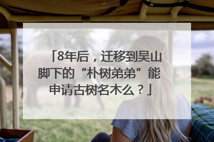 8年后，迁移到吴山脚下的“朴树弟弟”能申请古树名木么？