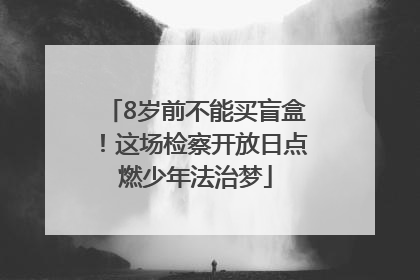 8岁前不能买盲盒！这场检察开放日点燃少年法治梦