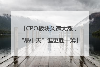 CPO板块久违大涨，“易中天”谁更胜一筹