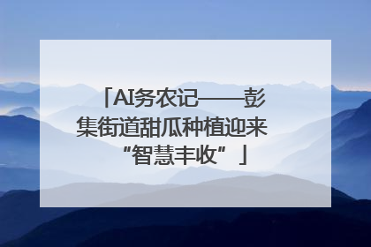 AI务农记——彭集街道甜瓜种植迎来“智慧丰收”