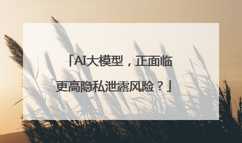 AI大模型，正面临更高隐私泄露风险？