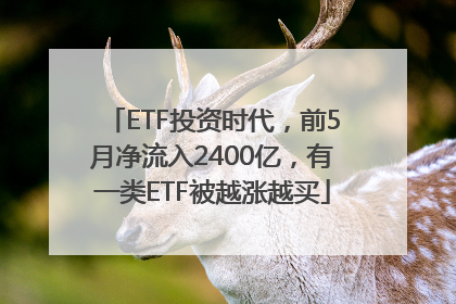 ETF投资时代，前5月净流入2400亿，有一类ETF被越涨越买