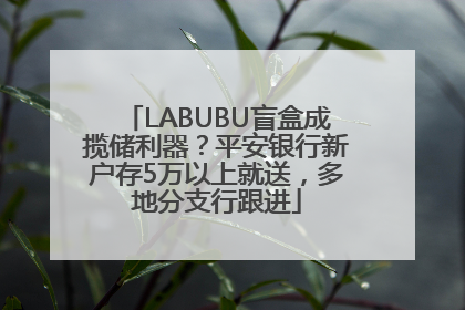 LABUBU盲盒成揽储利器？平安银行新户存5万以上就送，多地分支行跟进